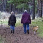 vacanze con il cane in agriturismo