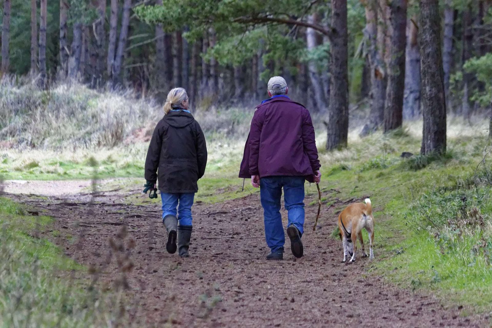 vacanze con il cane in agriturismo