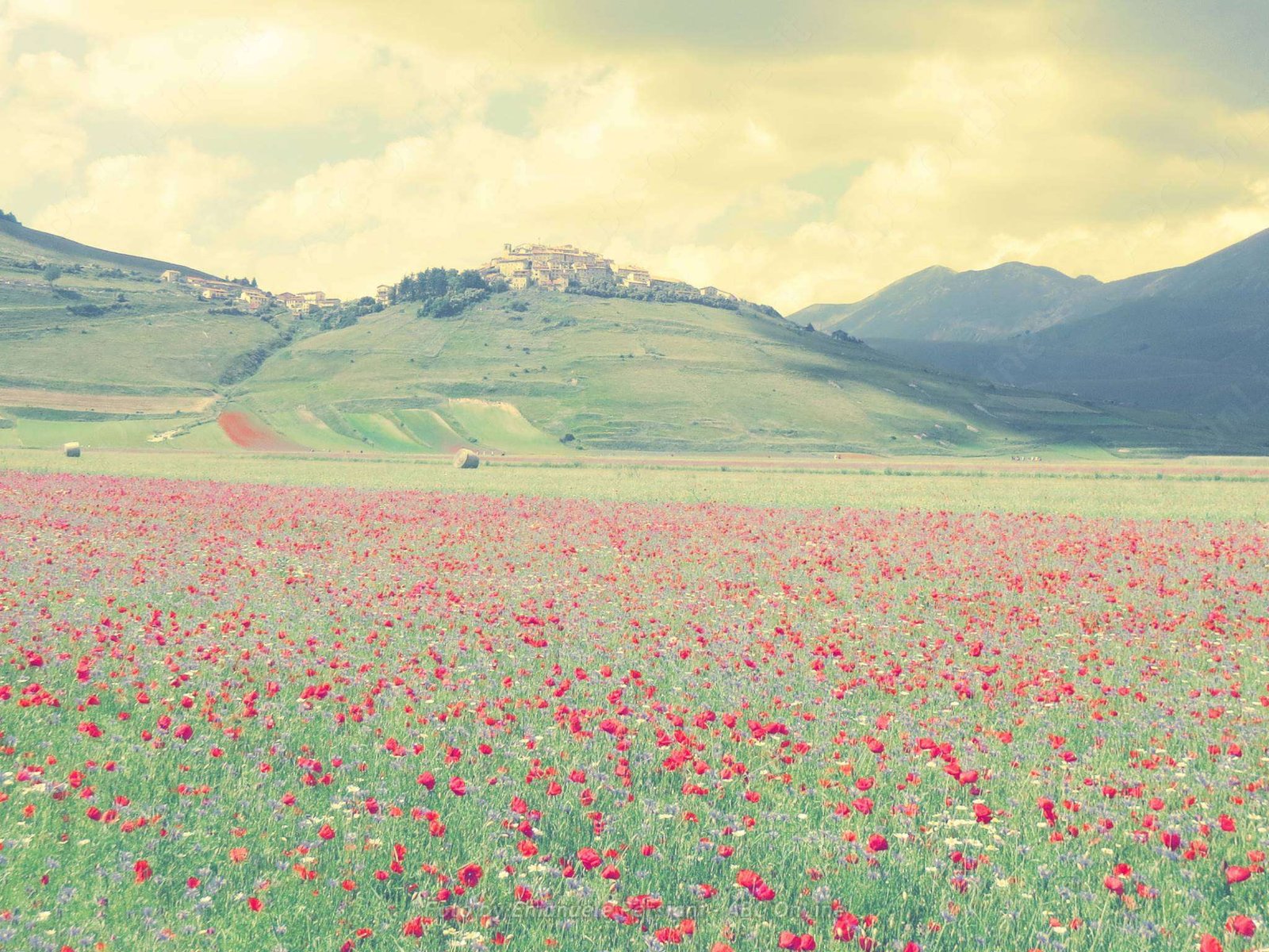 agriturismo per la fioritura di castelluccio