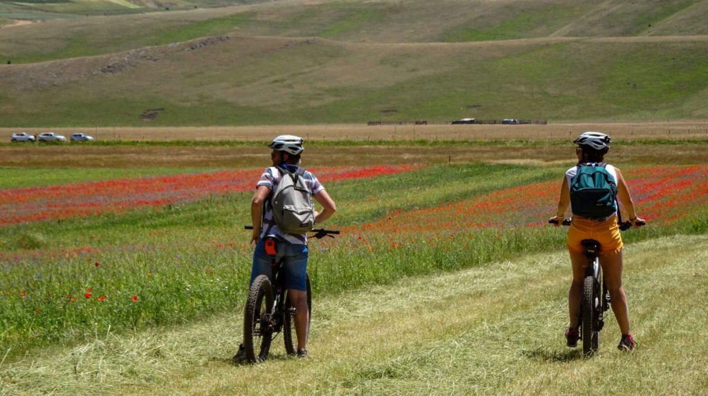 Escursione eBike a Castelluccio di Norcia per la fioritura - fioritura di castelluccio in bici