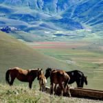 Prenota una settimana a cavallo e dormi a Norcia