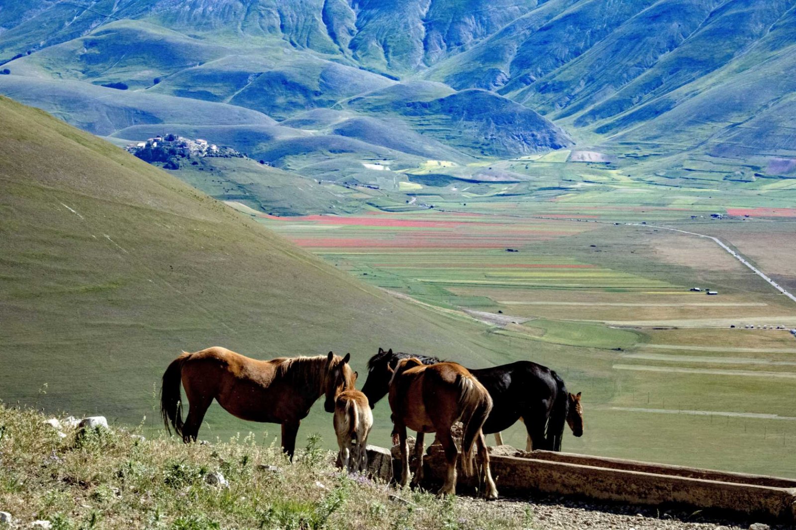 Prenota una settimana a cavallo e dormi a Norcia