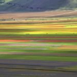 cosa fare a norcia nella settimana della fioritura di castelluccio di norcia