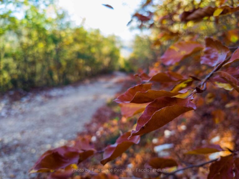 Il Foliage sui Monti Sibillini