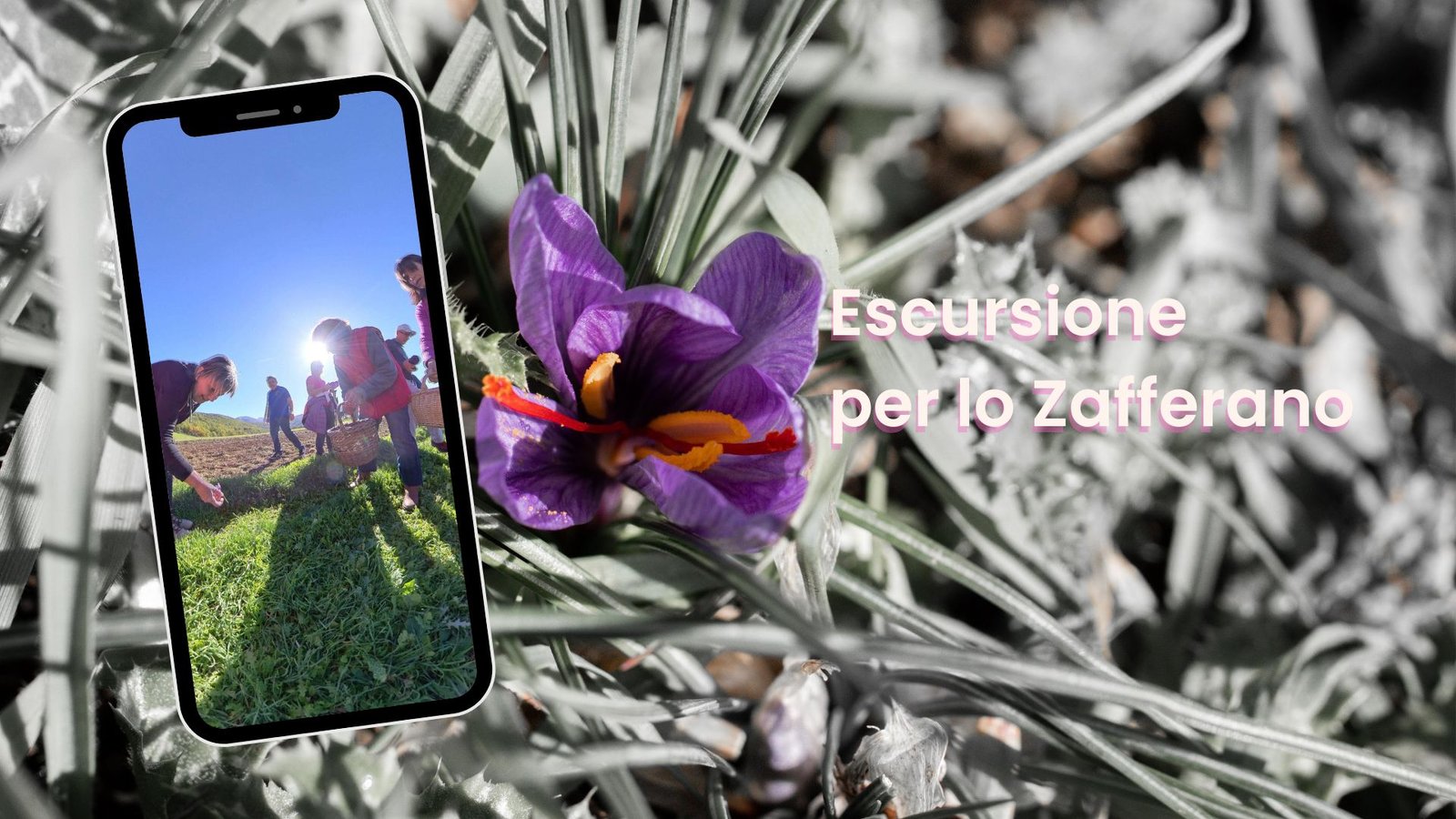 escursione trekking foliage cascia zafferano ottobre e novembre